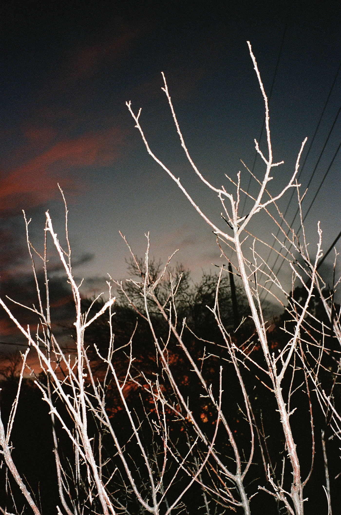 AT015.jpg