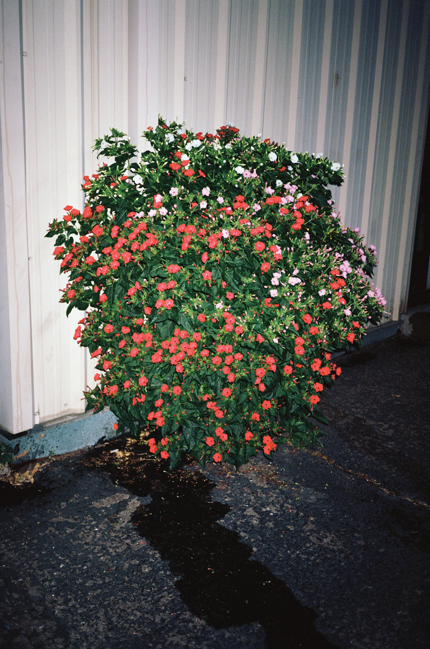 AT022.jpg