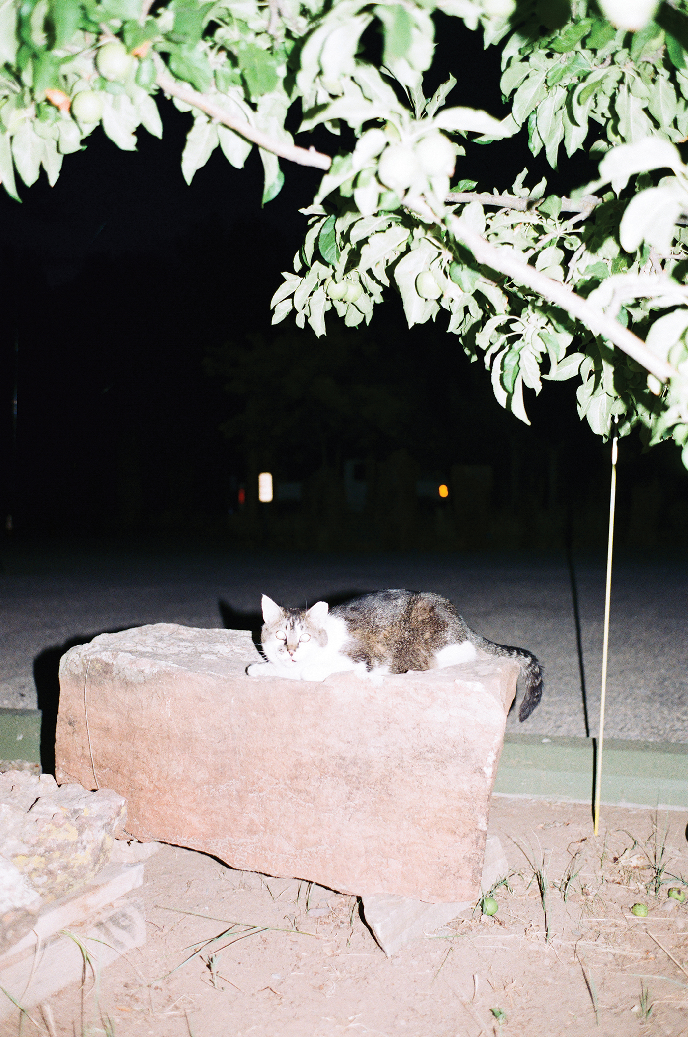 AT040.jpg