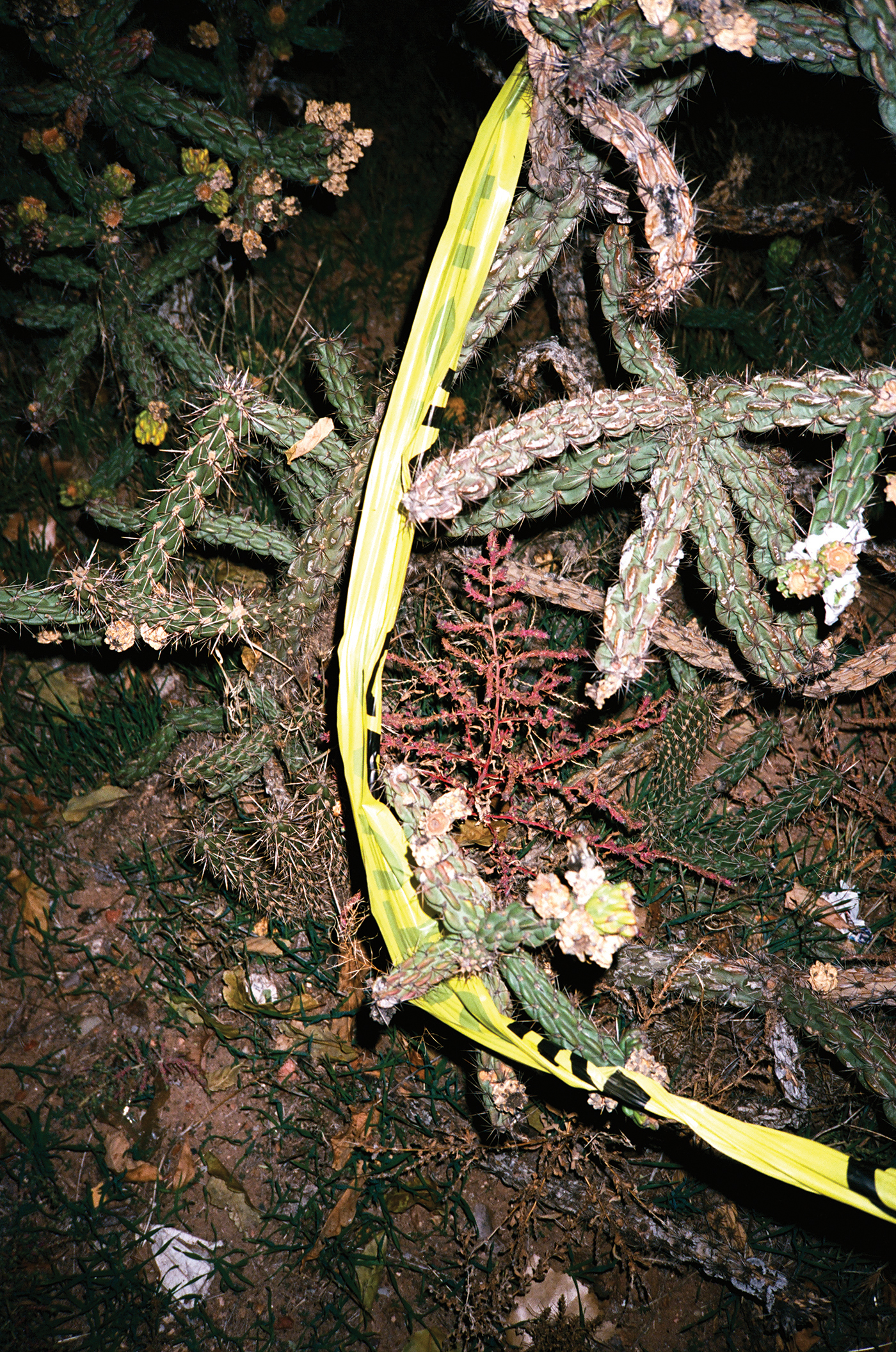 AT048.jpg