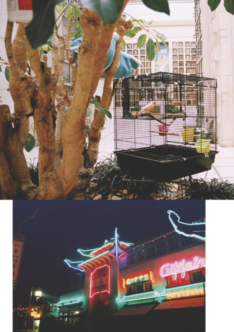 Screen Shot 2019-01-05 at 7.36.59 PM.png