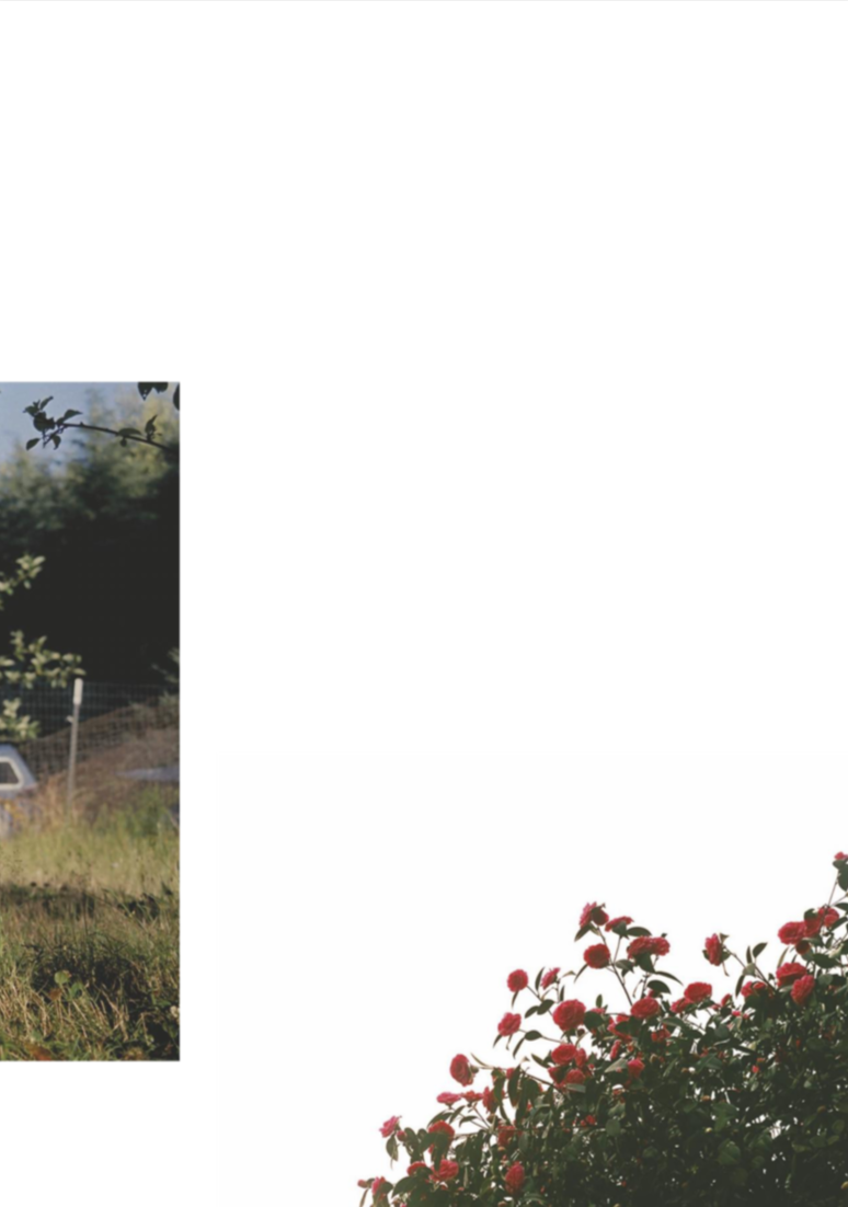 Screen Shot 2019-01-05 at 7.38.17 PM.png