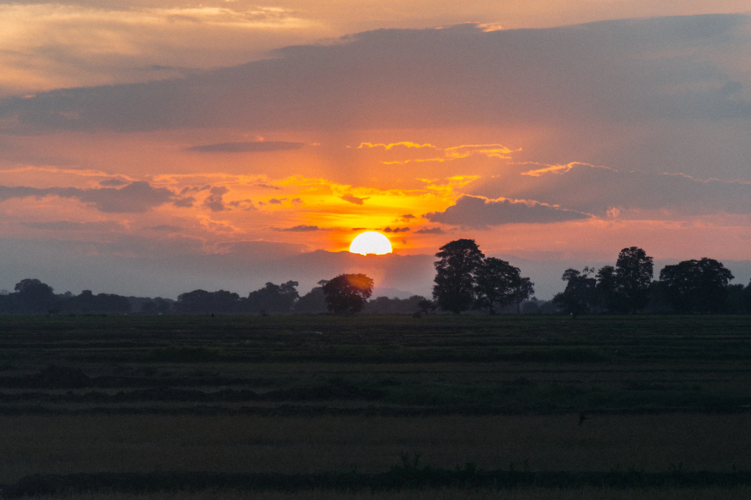 IMG_8025-4.jpg