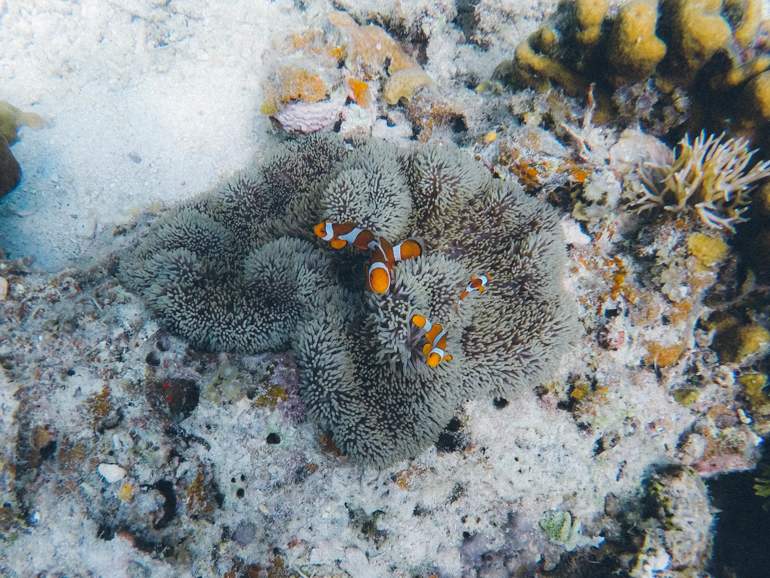 GOPR1577.jpg