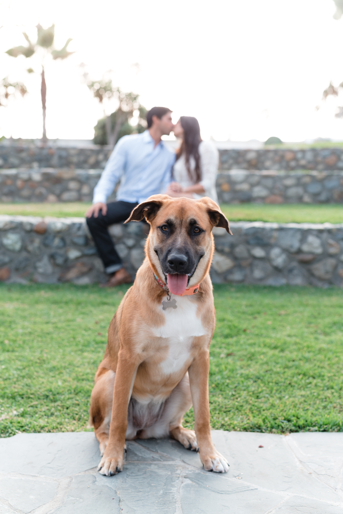 Penny protecting her owners while they snuck a kiss! 