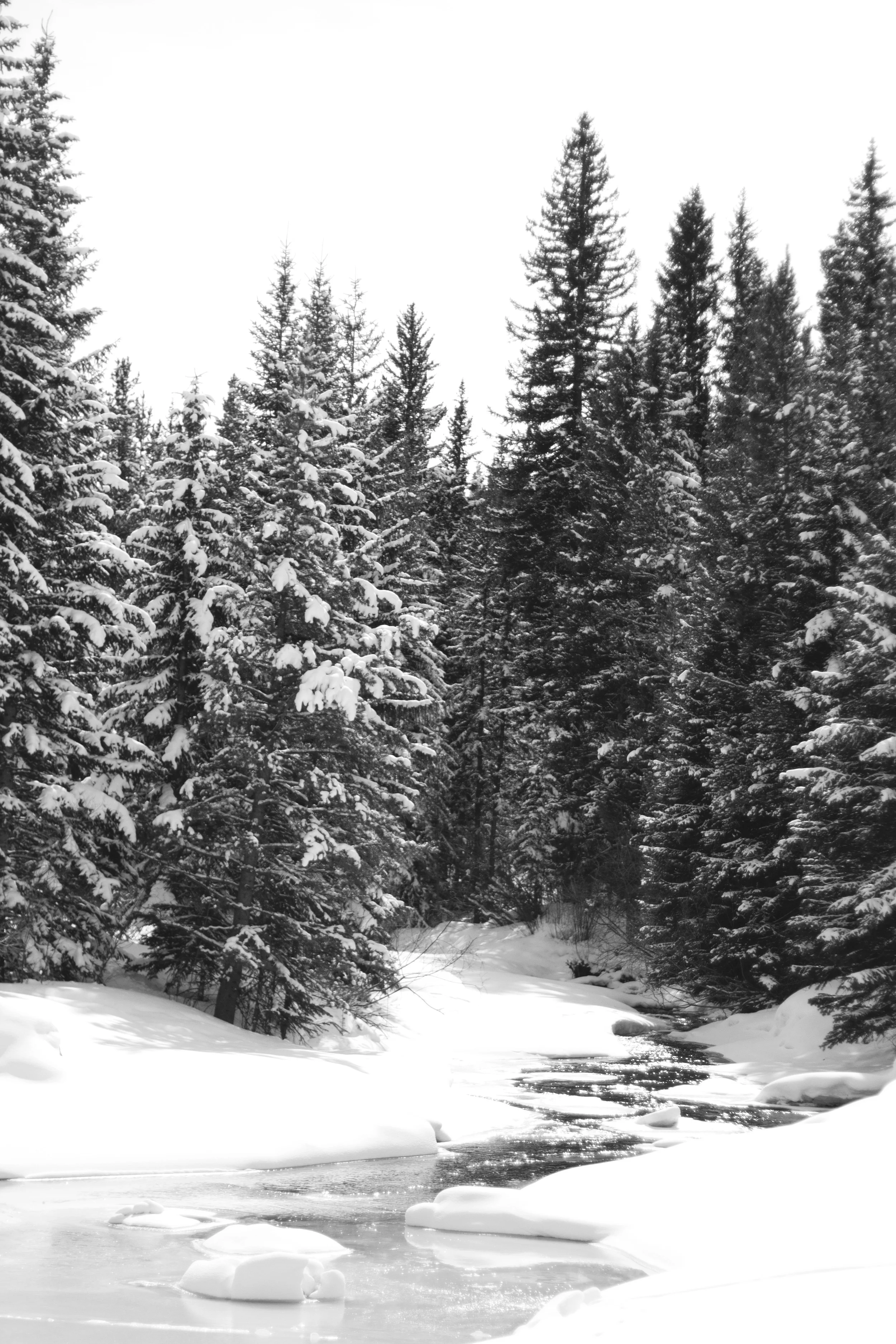 _MG_6320BW.jpg