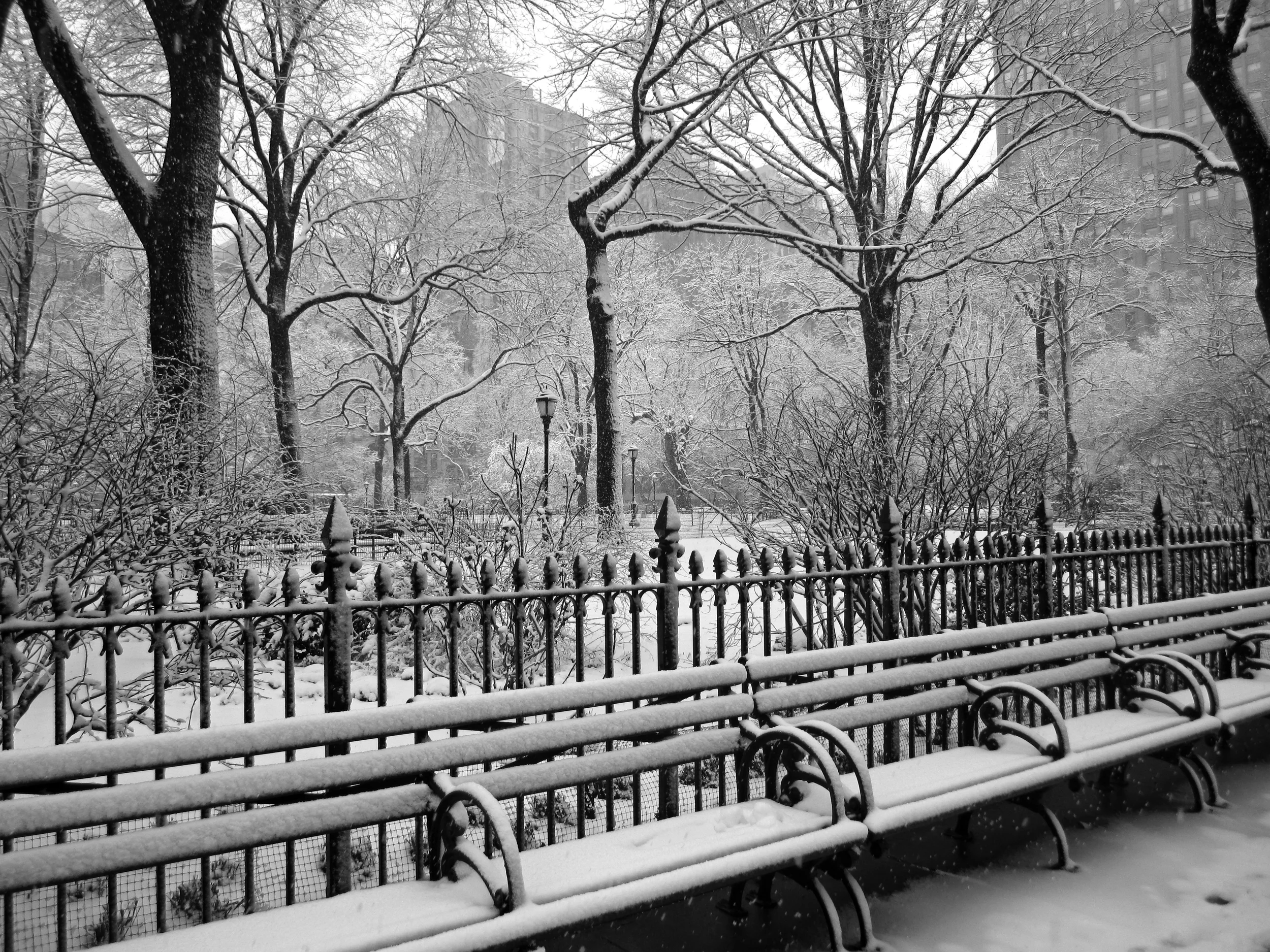 IMG_1089_BW.jpg