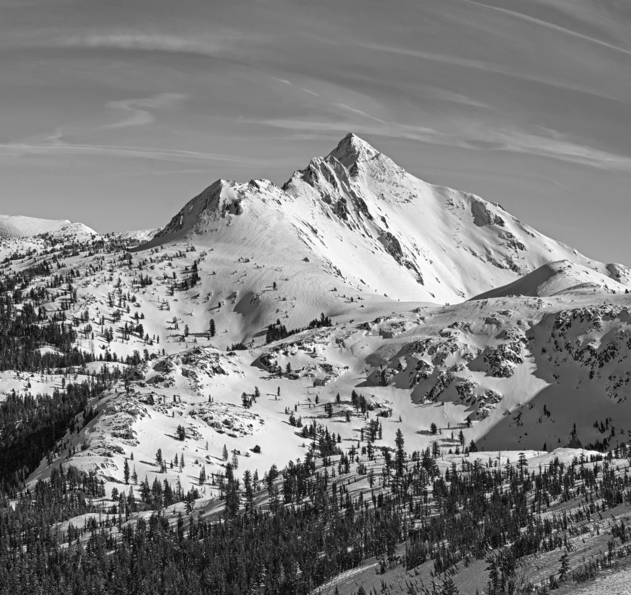 DSC00004_BW.jpg