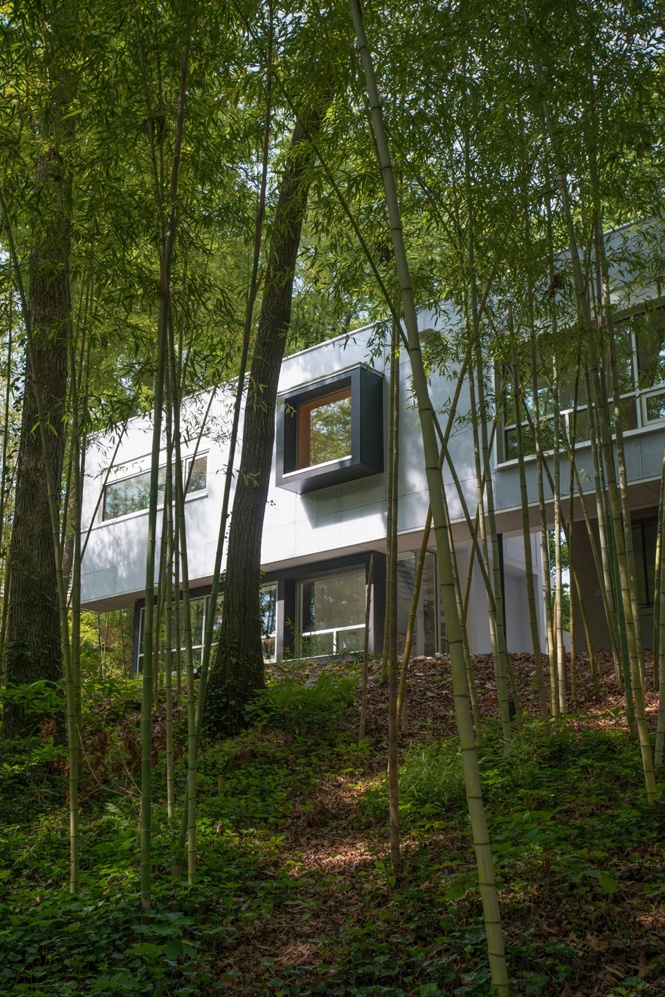 Collins House — Hobgood Architects