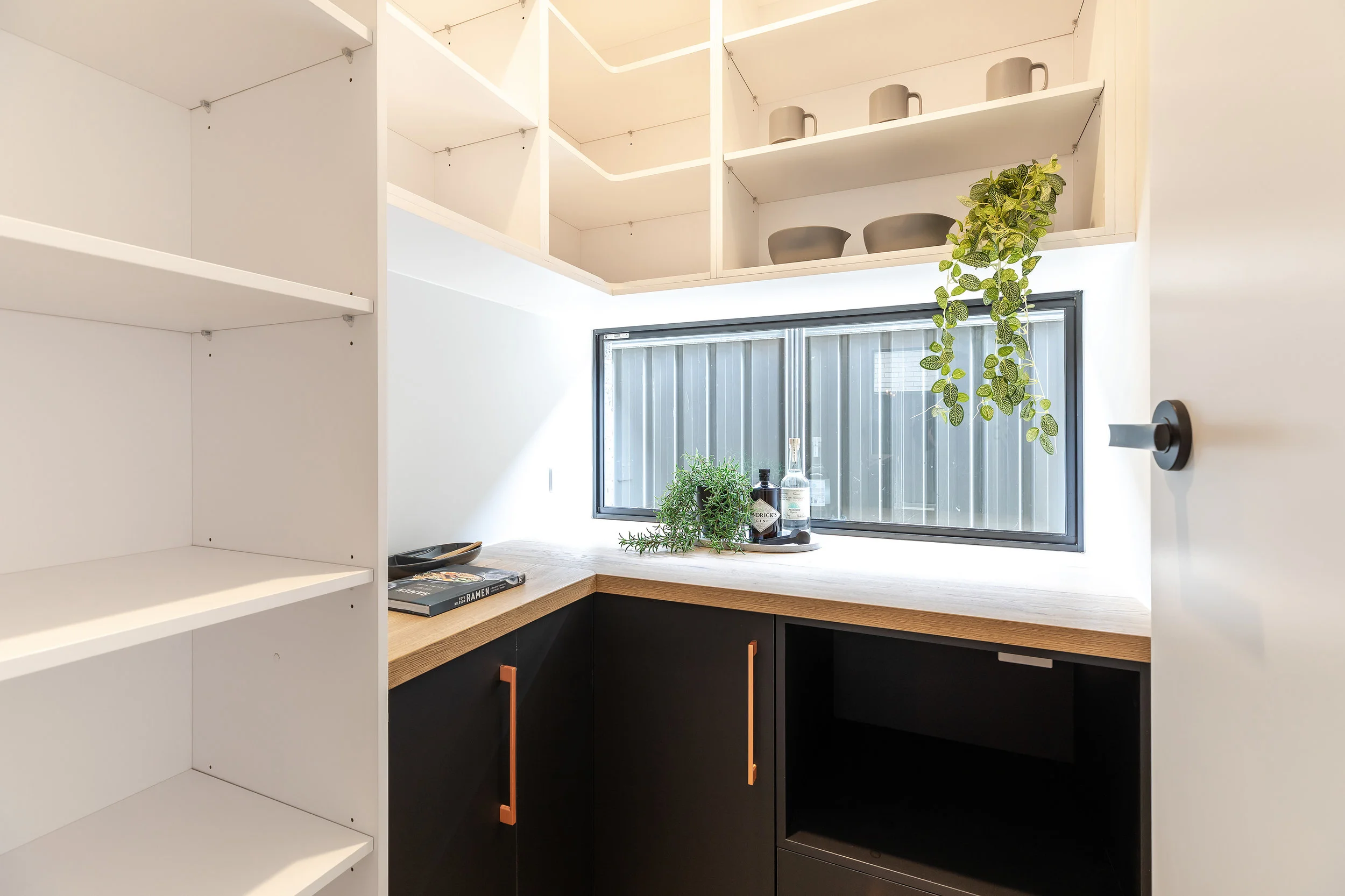 46 Ranelagh Street Glengowrie 016.jpg