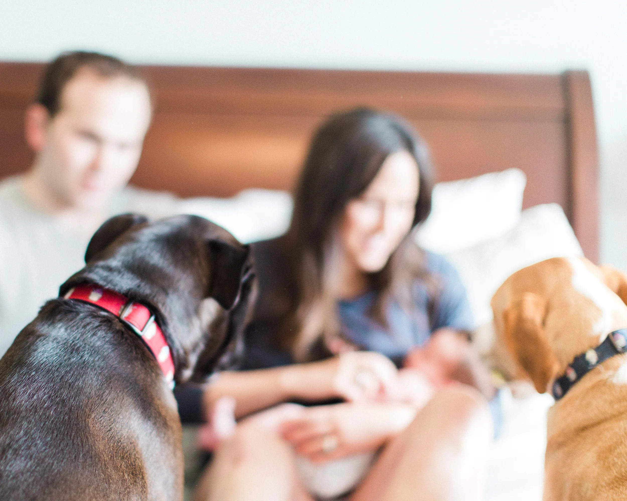 Lifestyle New Born Family Portraits | Baer Family | New Orleans, Louisiana
