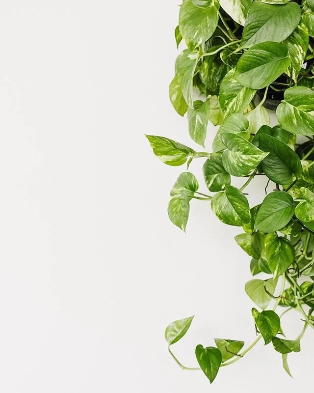 The last time I was in Mexico I was gathering my things and doing everything with such urgency that this old man stopped me and told me with such calmness, &ldquo;Tranquilo, tranquilo...&rdquo; I didn&rsquo;t even realize how frantic I was until he t