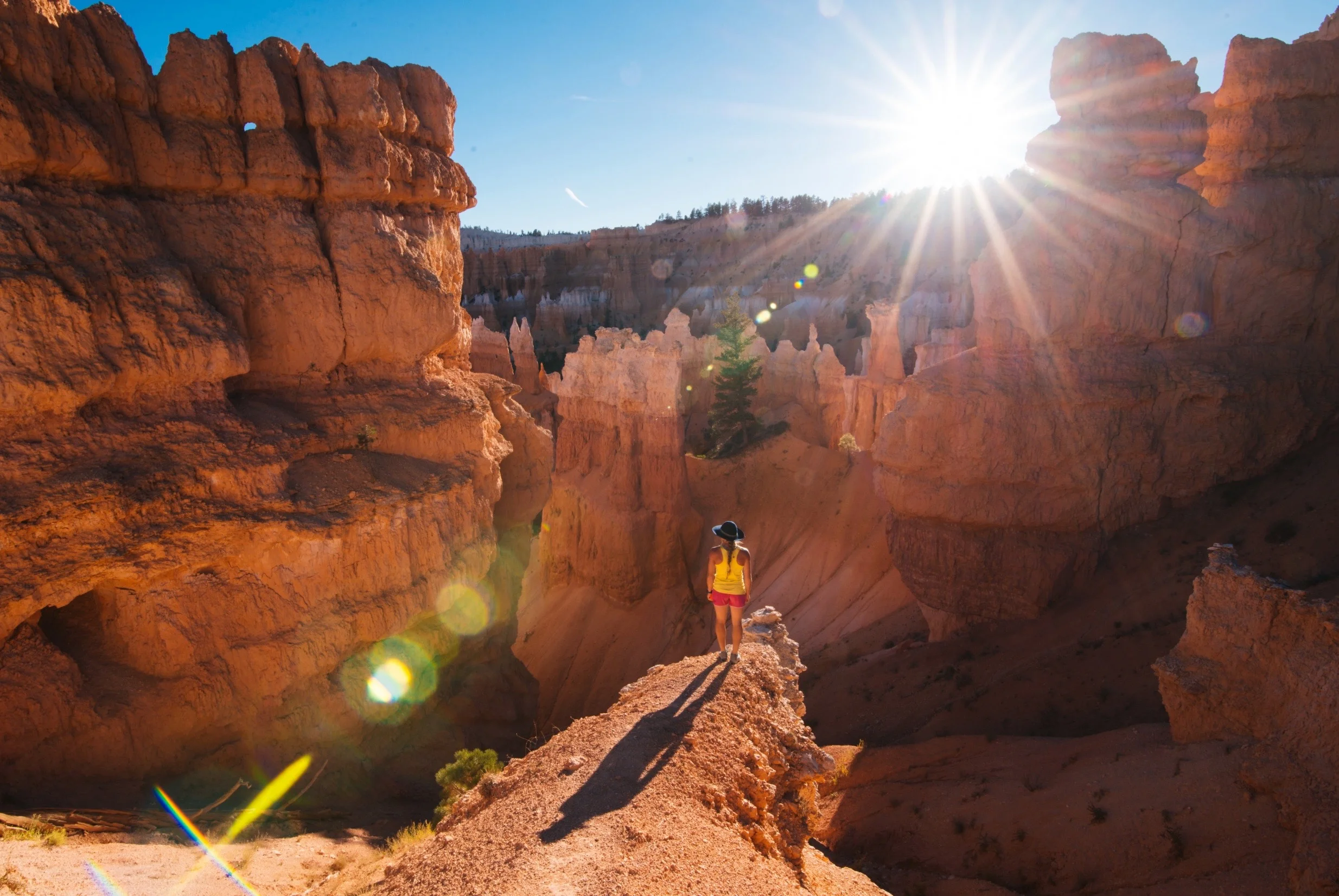 Here is a fun interview I did at one of the National Parks Adventure premieres. The film is know internationally as America Wild .