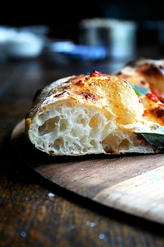 Oven Roasted Tomato and Garlic Pizza Baking Steel