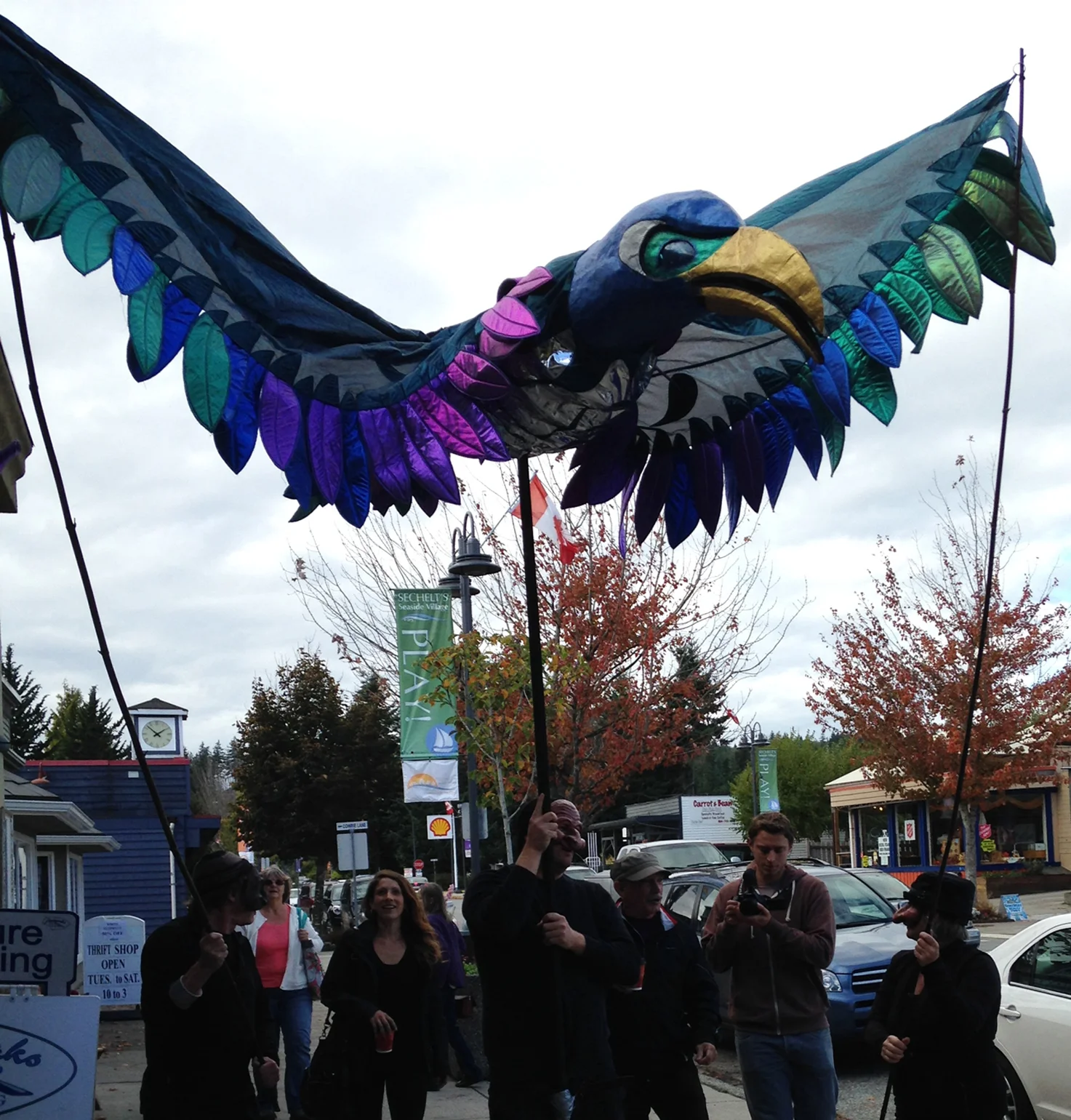 Raven in Sechelt_0653.jpg