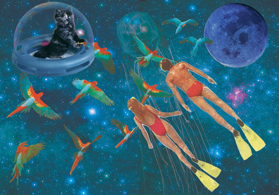 Captain Kitty and the Space Parrots