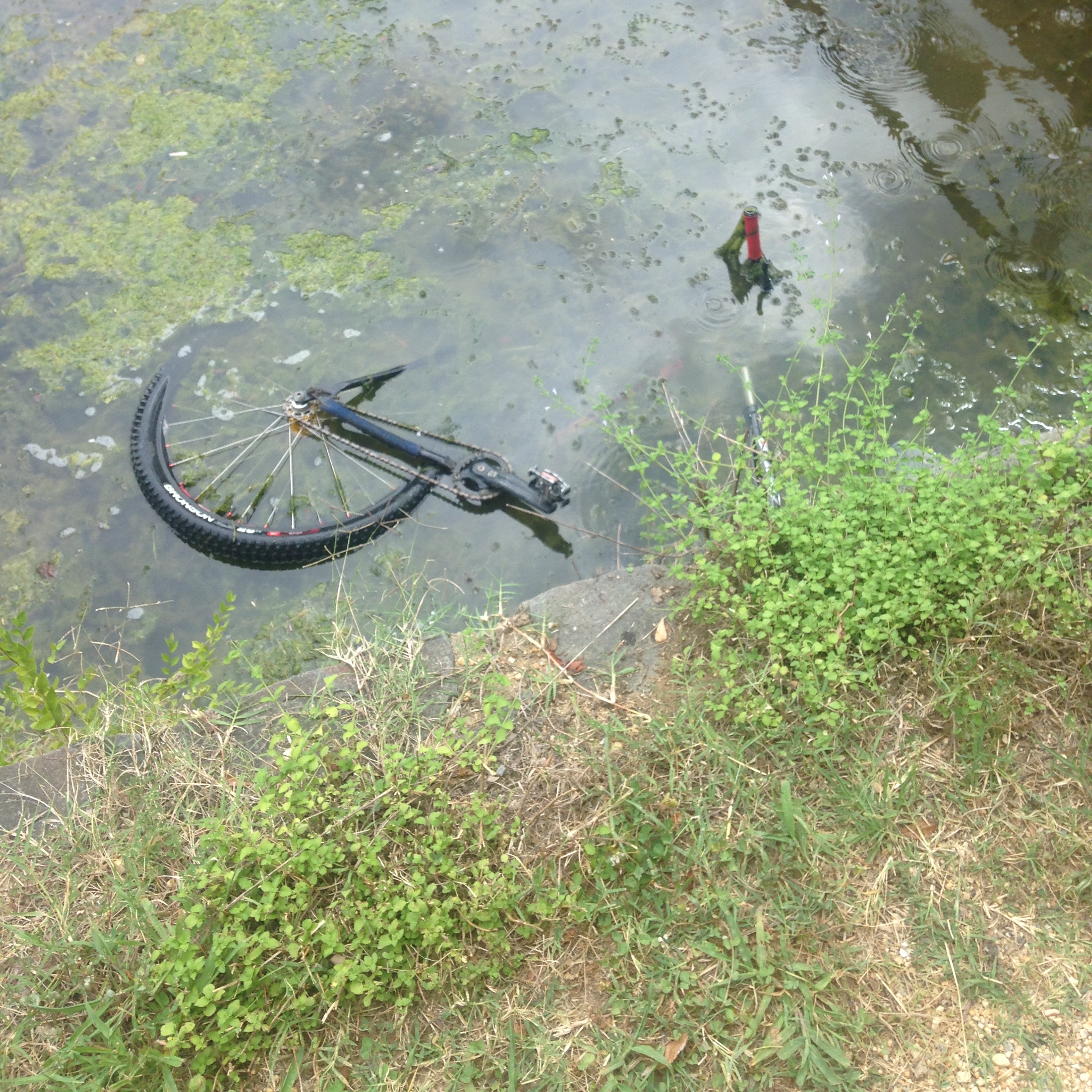 We had a great weekend!