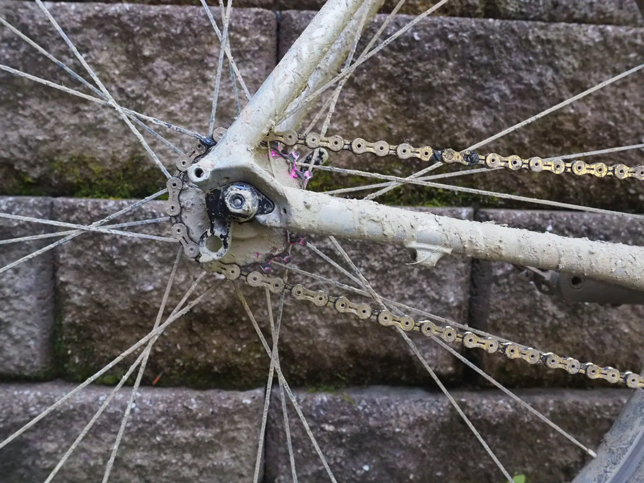 The Gravel Race Up Spruce Knob