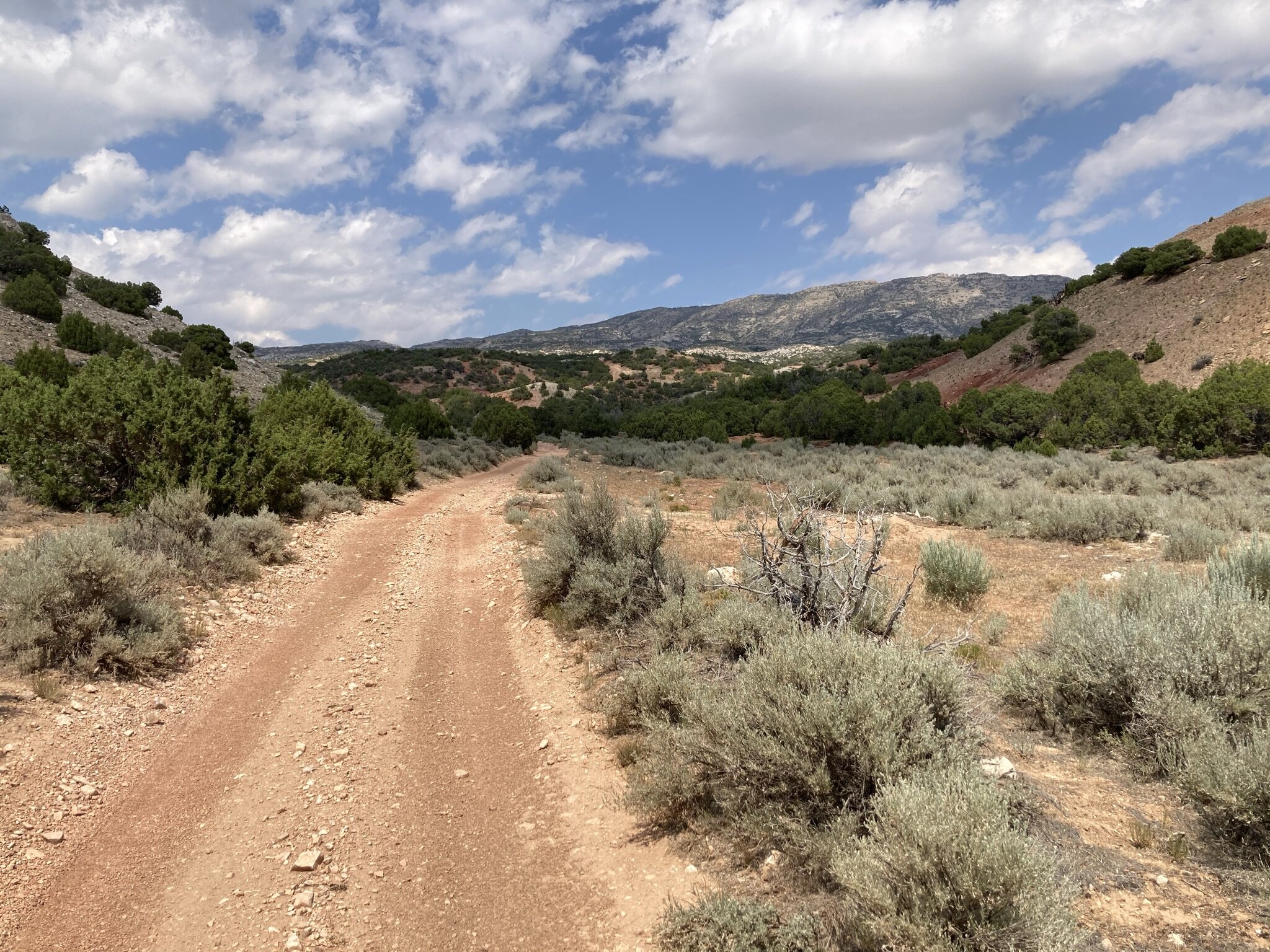 Three Ridges, One (Mis)adventure