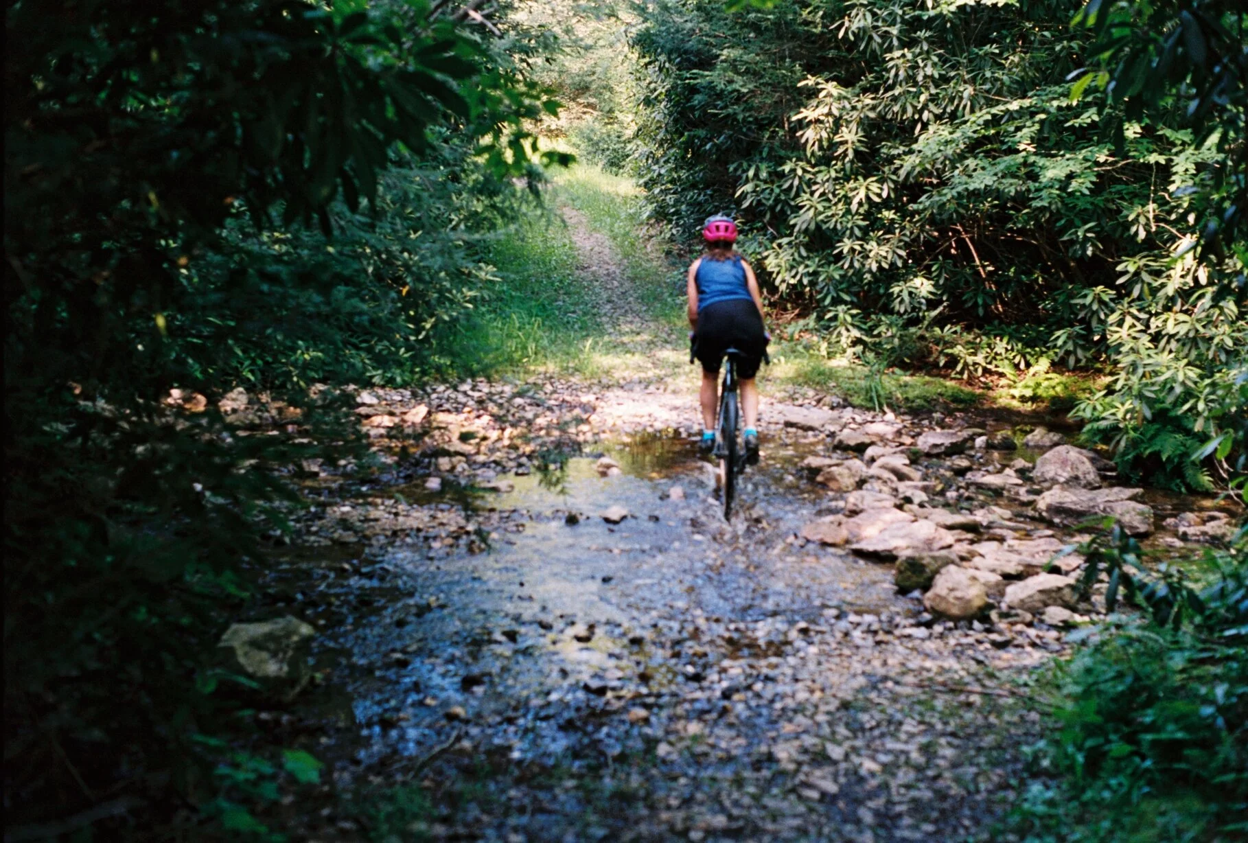 Summer Aesthetic Part 2: Michaux State Forest Adventure Camp on Kodak Portra 160 35mm film