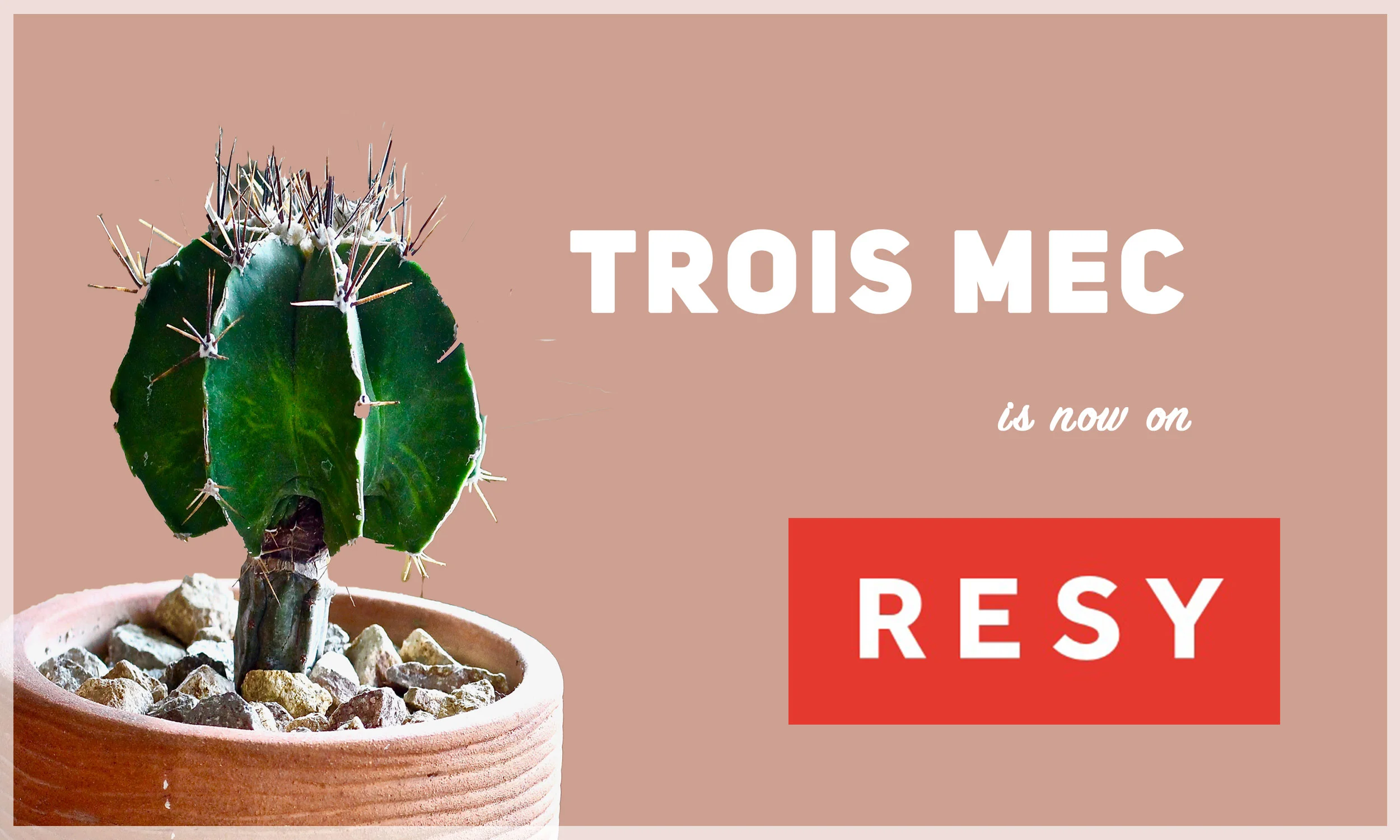 2018.5.24_TM-X-RESY-PROMO_v2.jpg