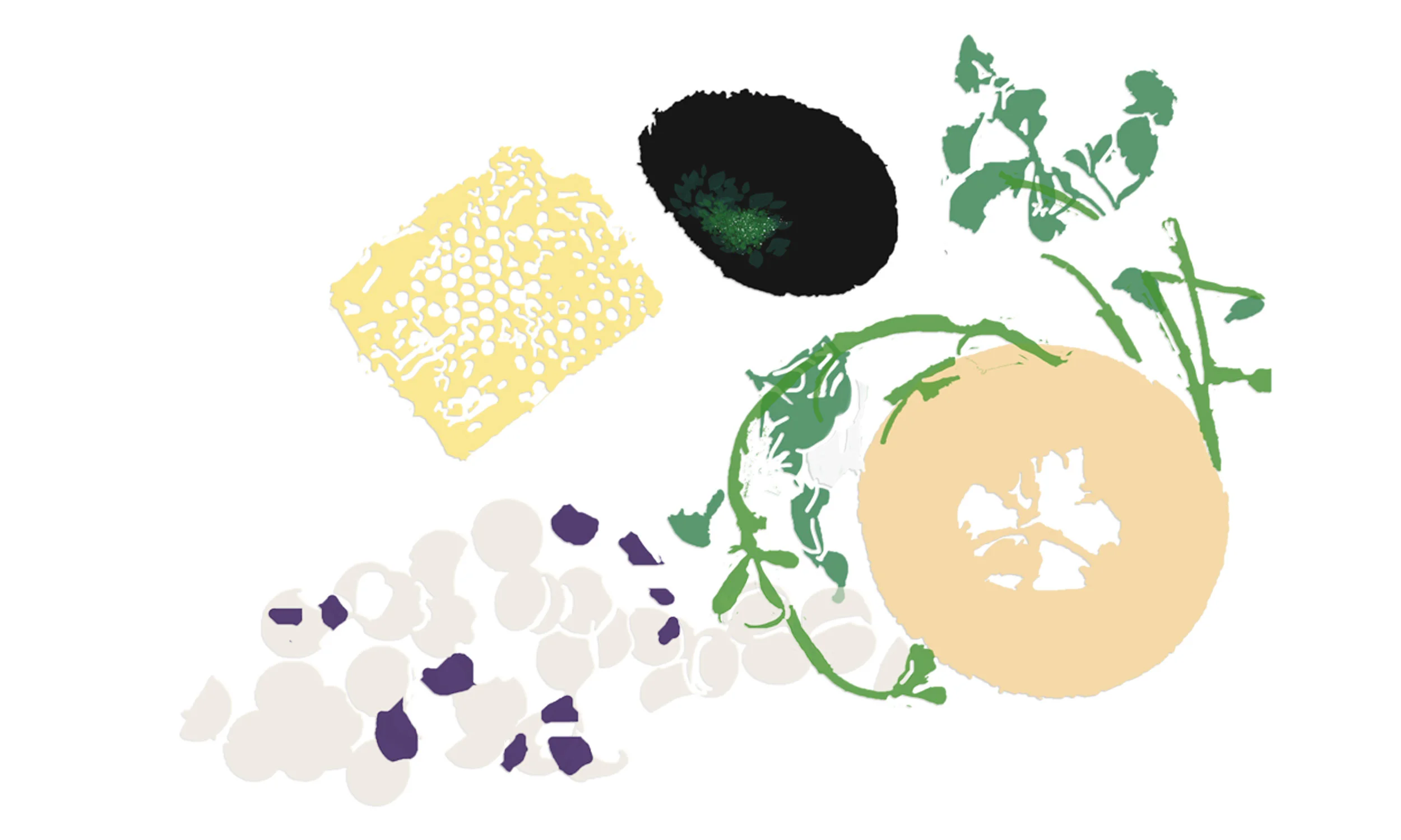 cantaloup-soup-illustration-web_v1.jpg