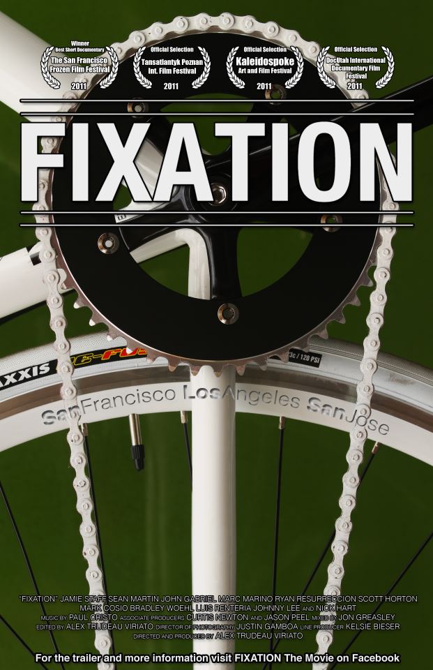 fixation poster.jpg