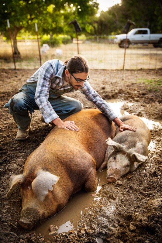 Jake Francis with two of his pigs. Photo courtesy of Brian Hodges.