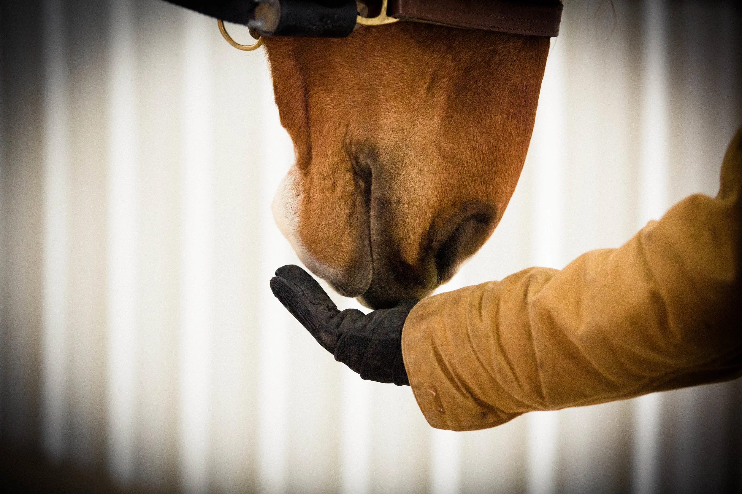 The Fruits of Empathy: Erin and Rio