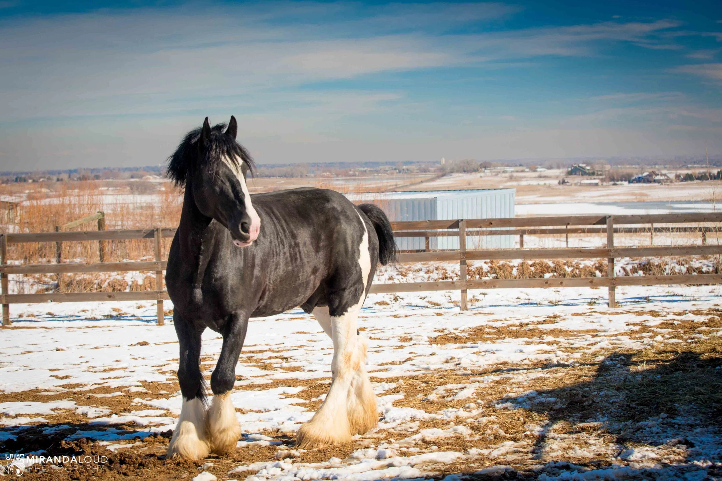 Casey and William - Living in the Present