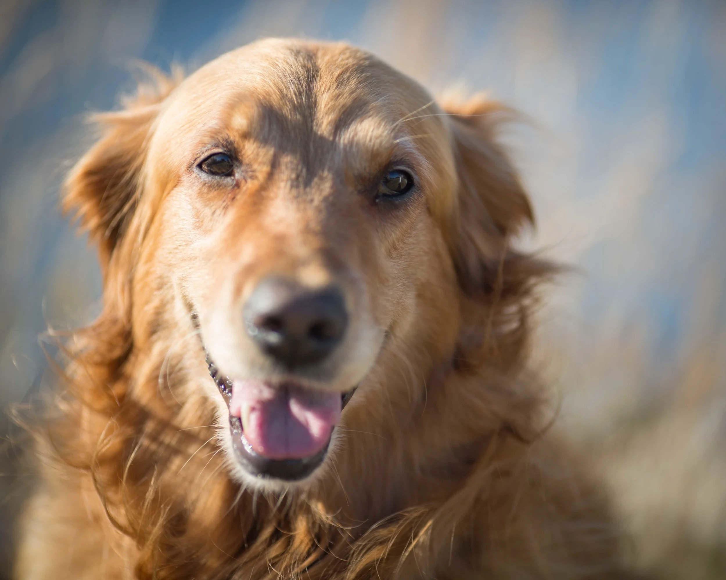 Emmy and Jim - Healing Through Divorce