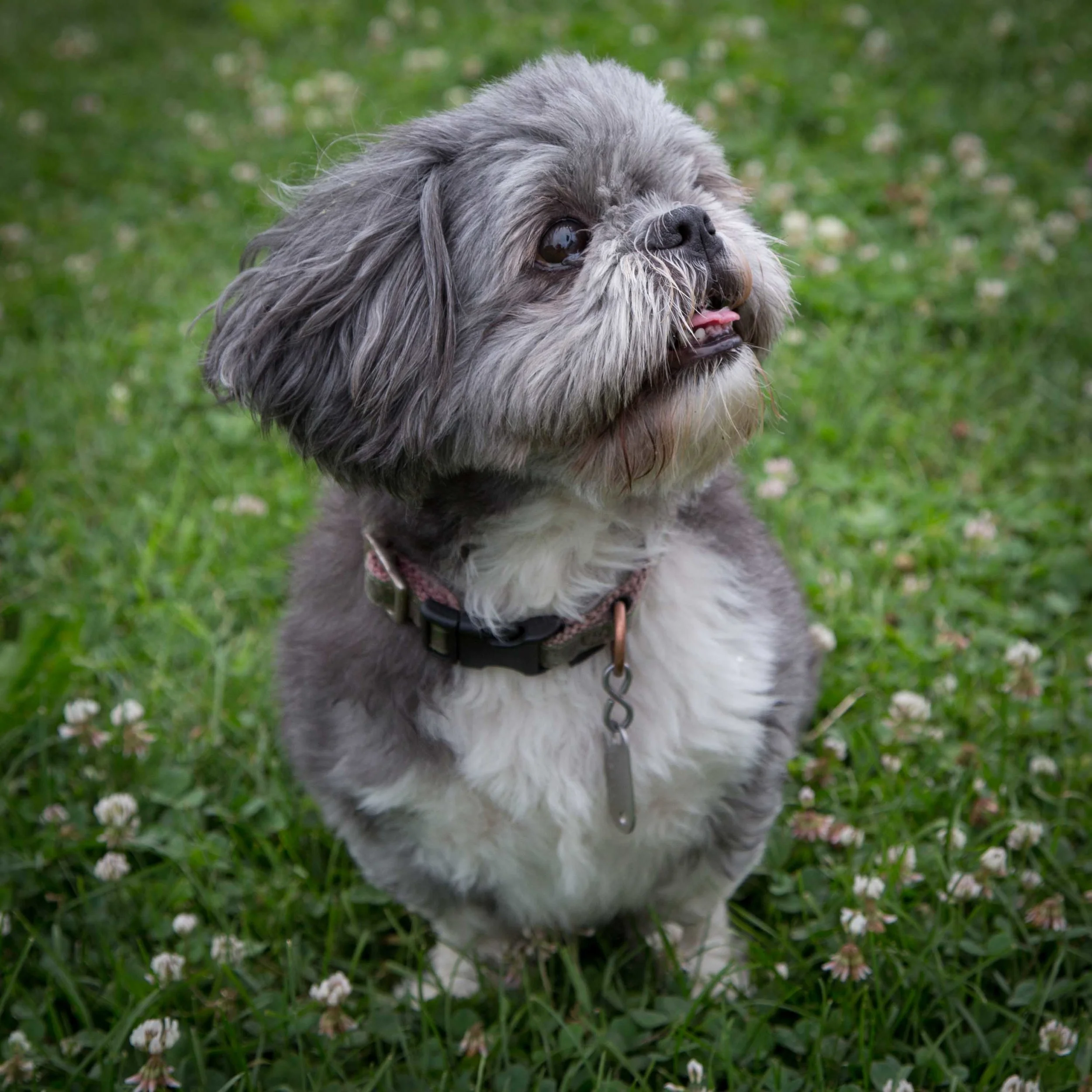 Abby and Henry - Overcoming Obstacles