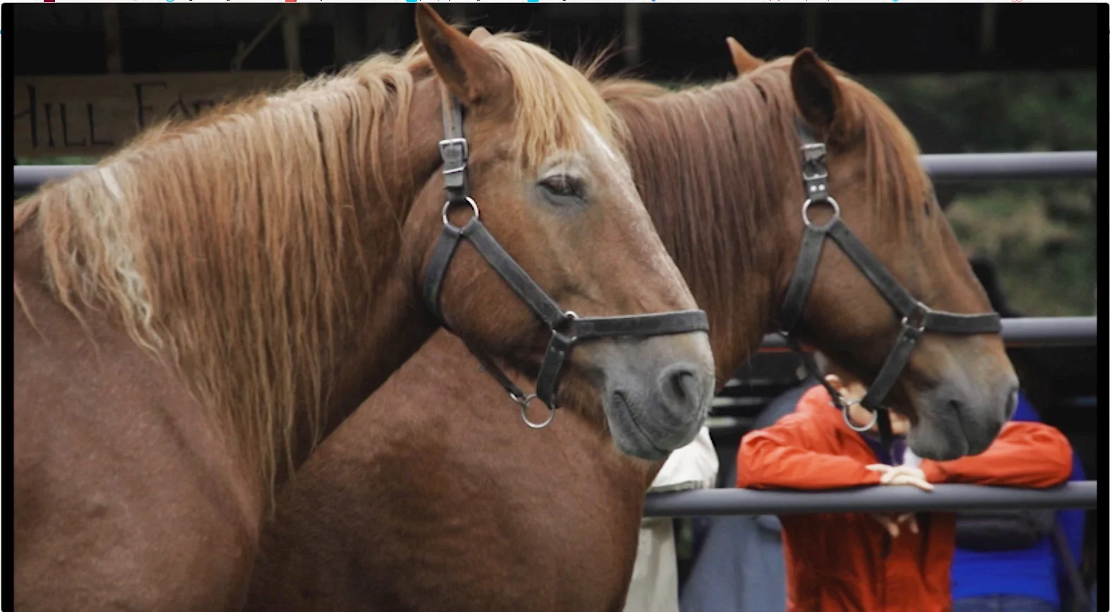 Peter, Willy and Nick