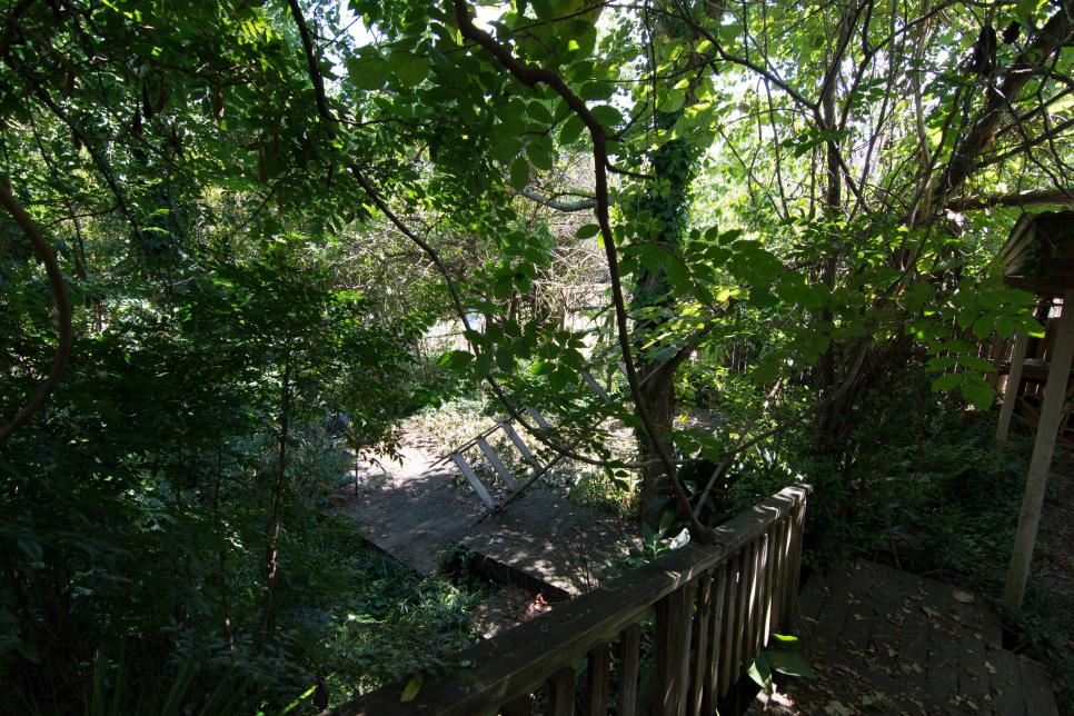 Before- Backyard from Back Porch Hayes.jpg