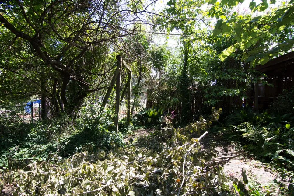 Before- Backyard Hayes.jpg
