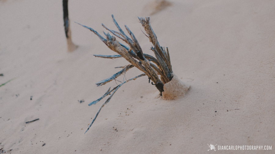 desert-engagement-session-pictures-florida-edding-photographer40.jpg