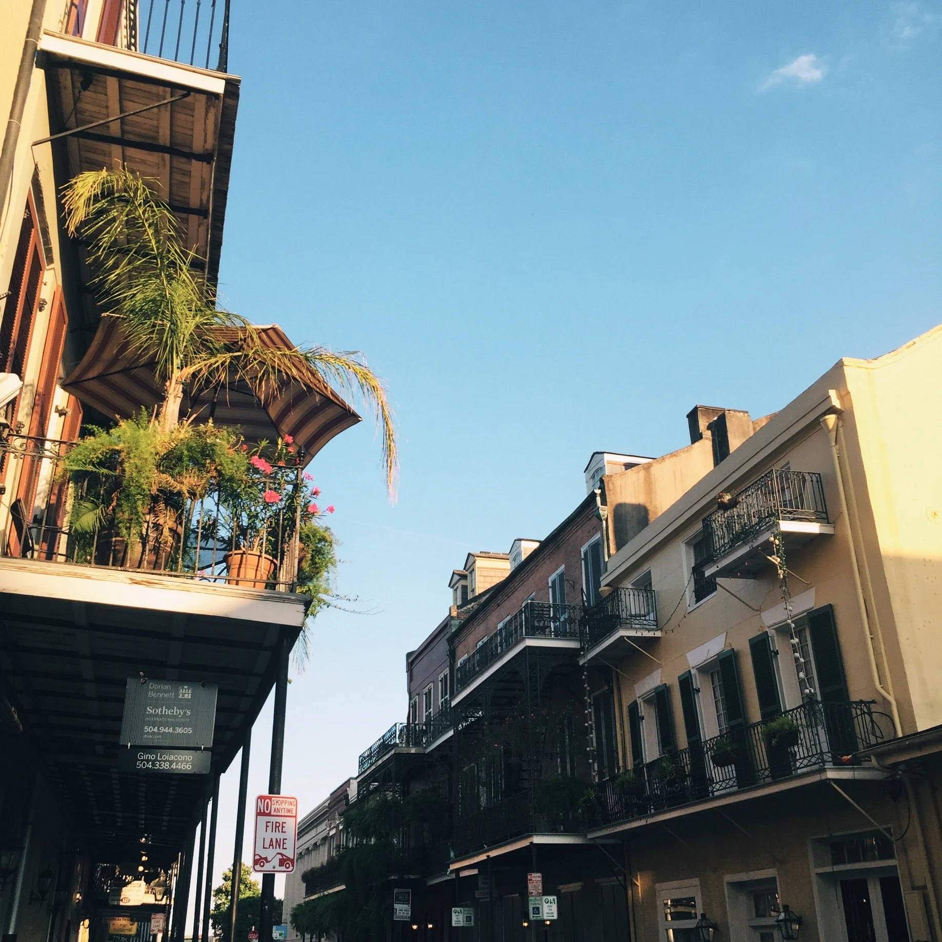 2016-06-23 19.11.17-2.jpg