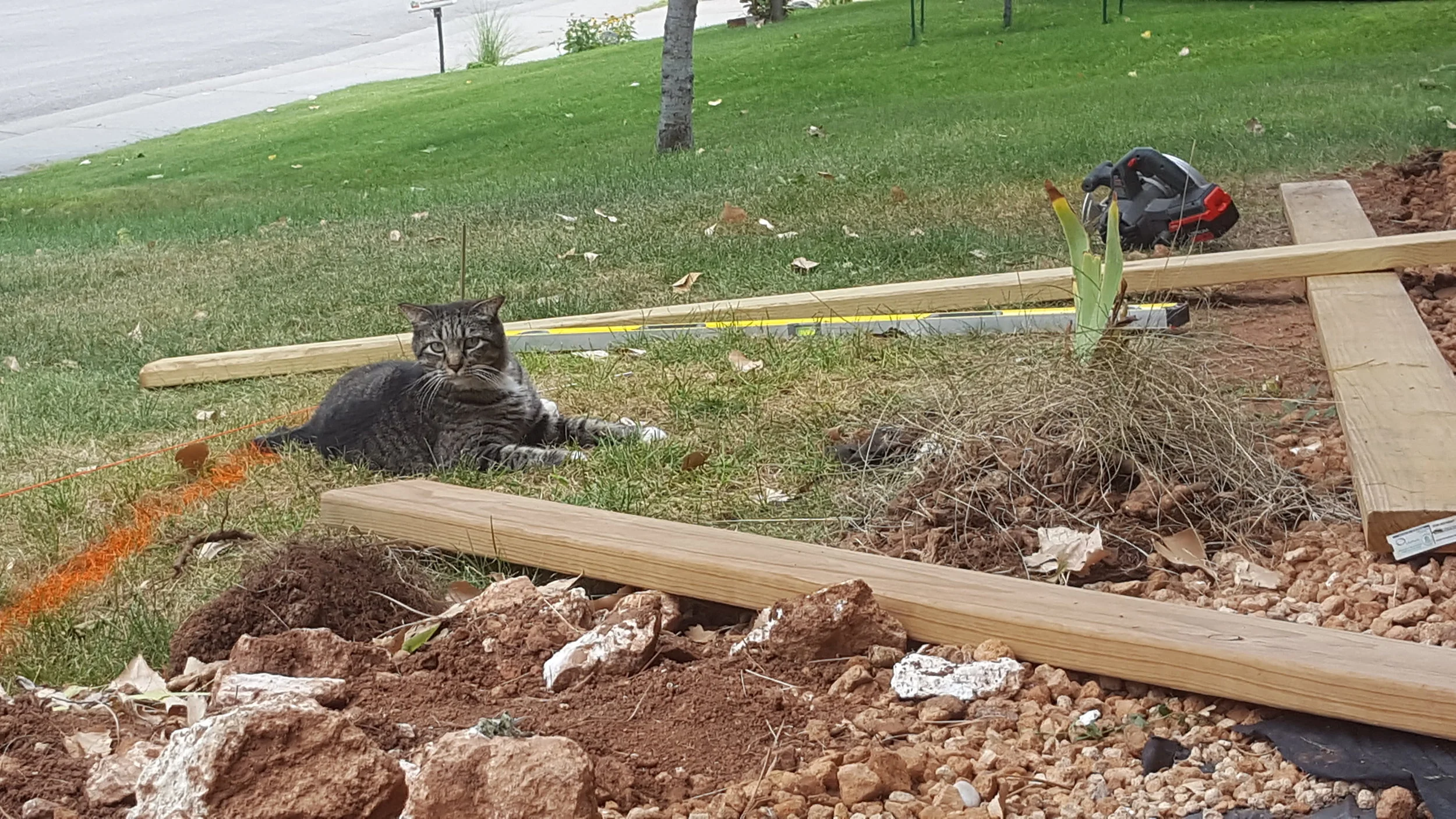 20160719_164825.jpg