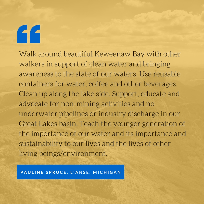 Asking, Committing and Belonging: the making of a Great Lakes Commons ...