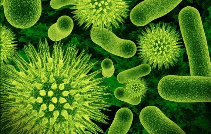 lifespa-gut-bacteria-graphic.jpg