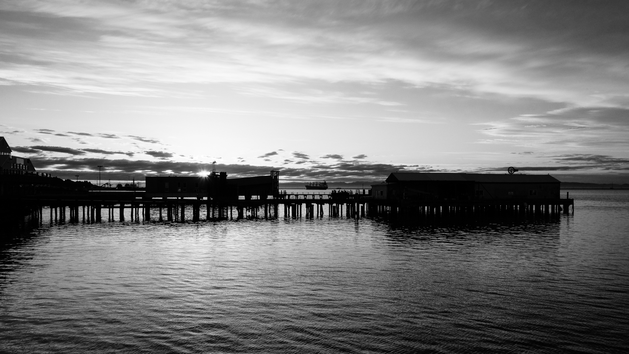DSCF0774.jpg