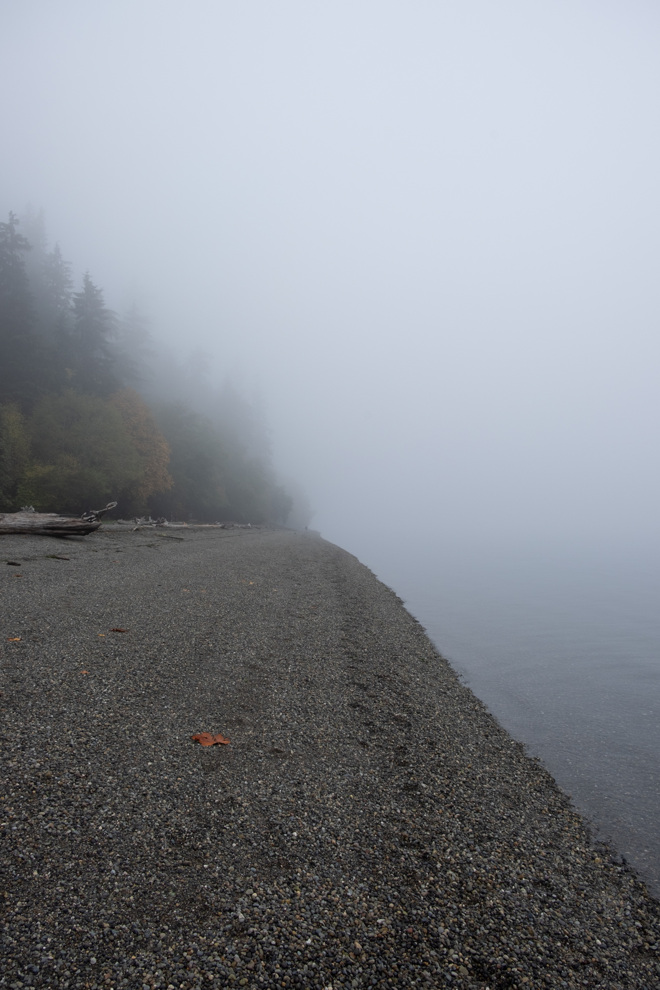 DSCF2415.jpg