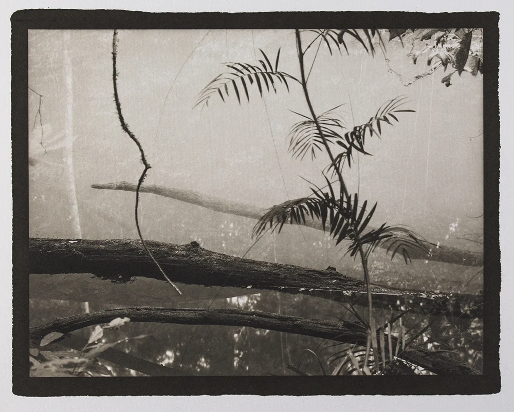 Gordon Undy - platinum/palladium "Figments #12"