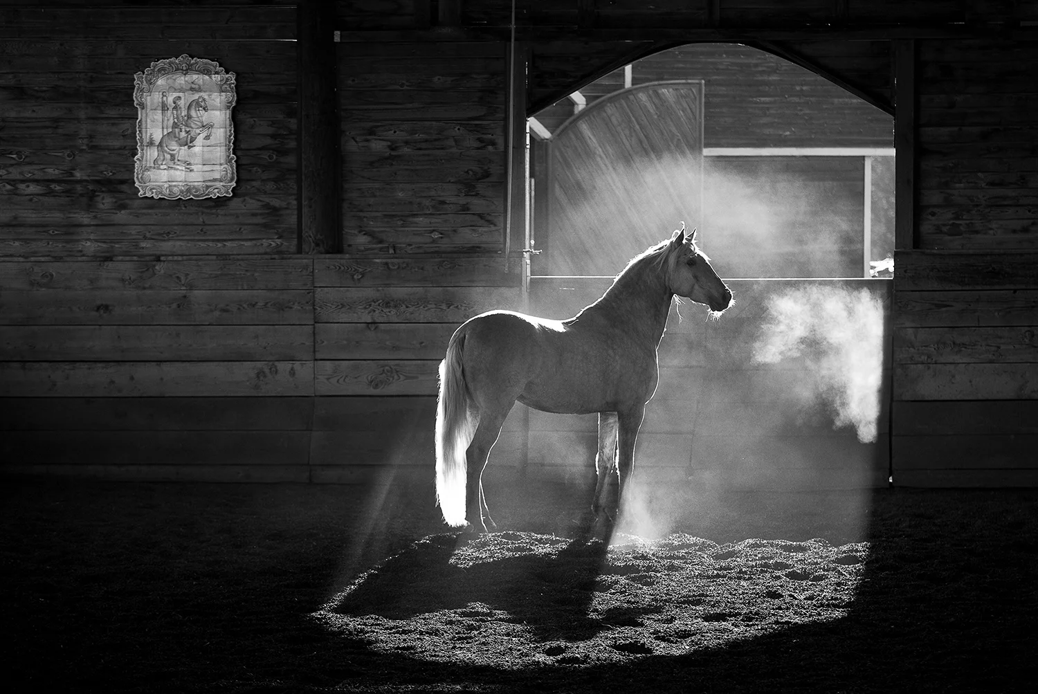 Cavalo Lusitano The Spirit Within_ARLIS ad.jpg