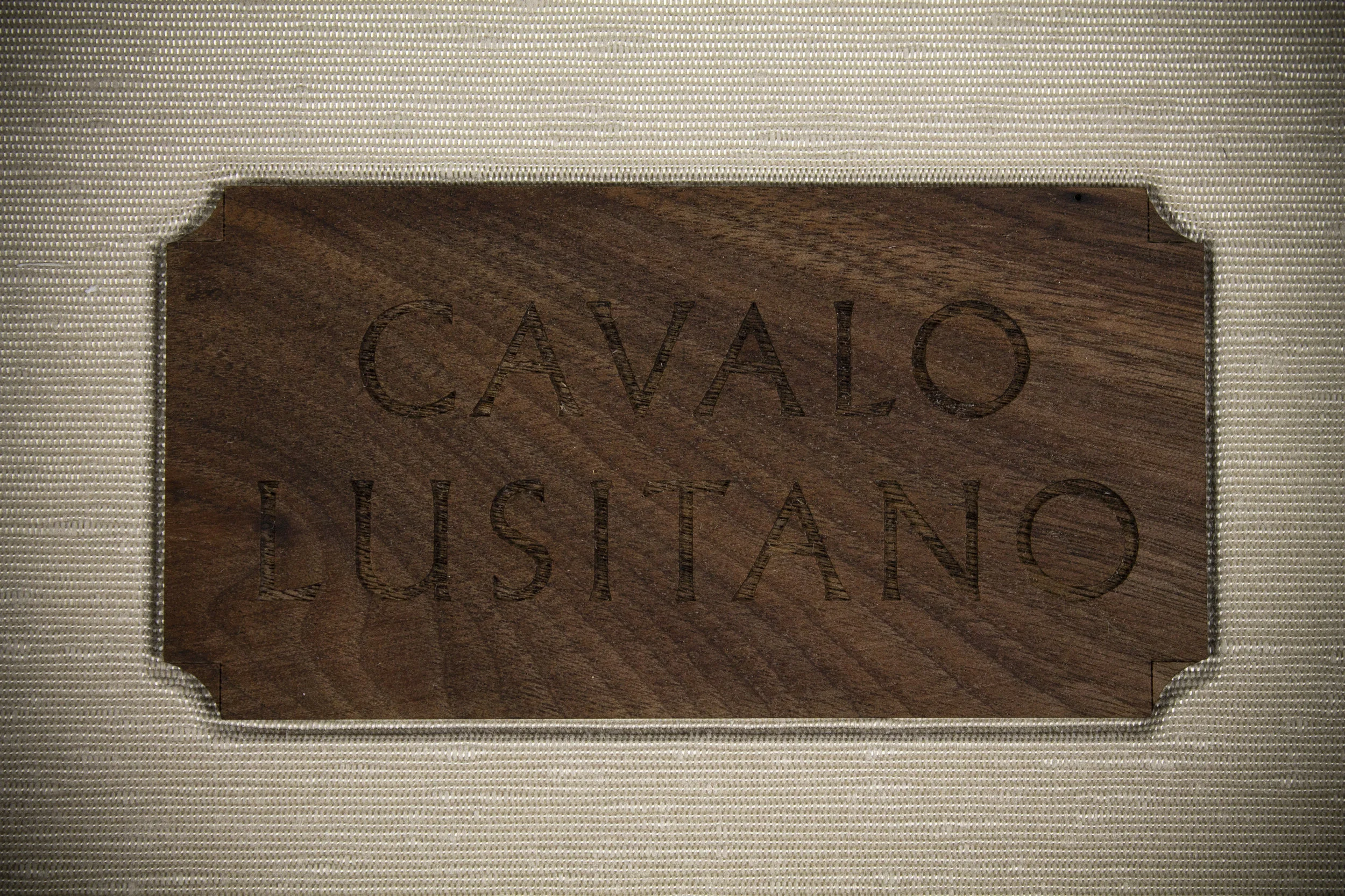 07_Lusitano.jpg