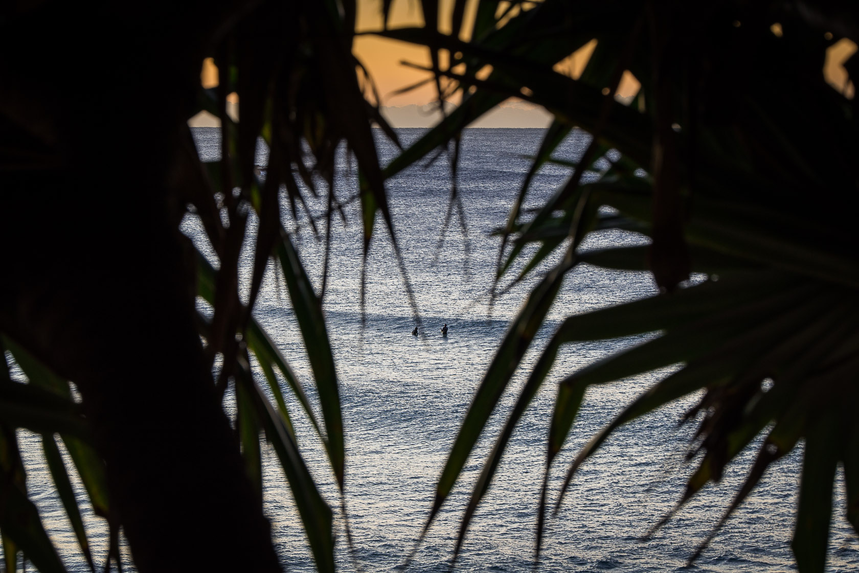  BETWEEN TWO FERNS - BEACH EDITION 