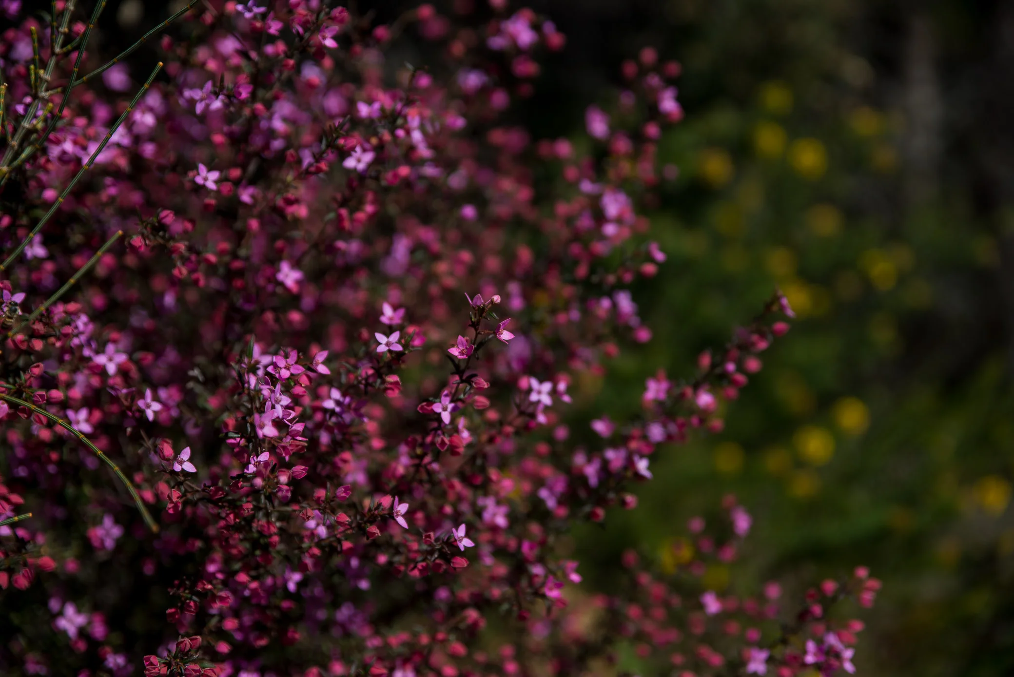 spring has sprung