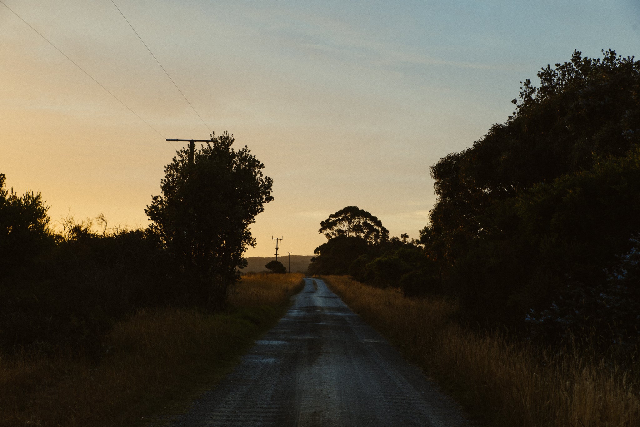 wanderings
