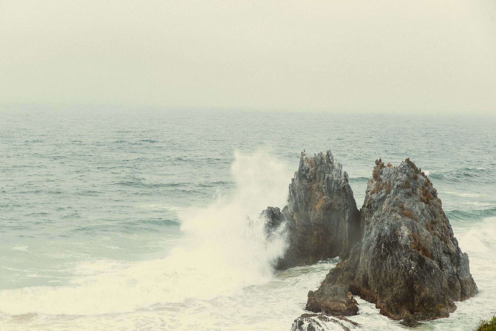 bermagui II