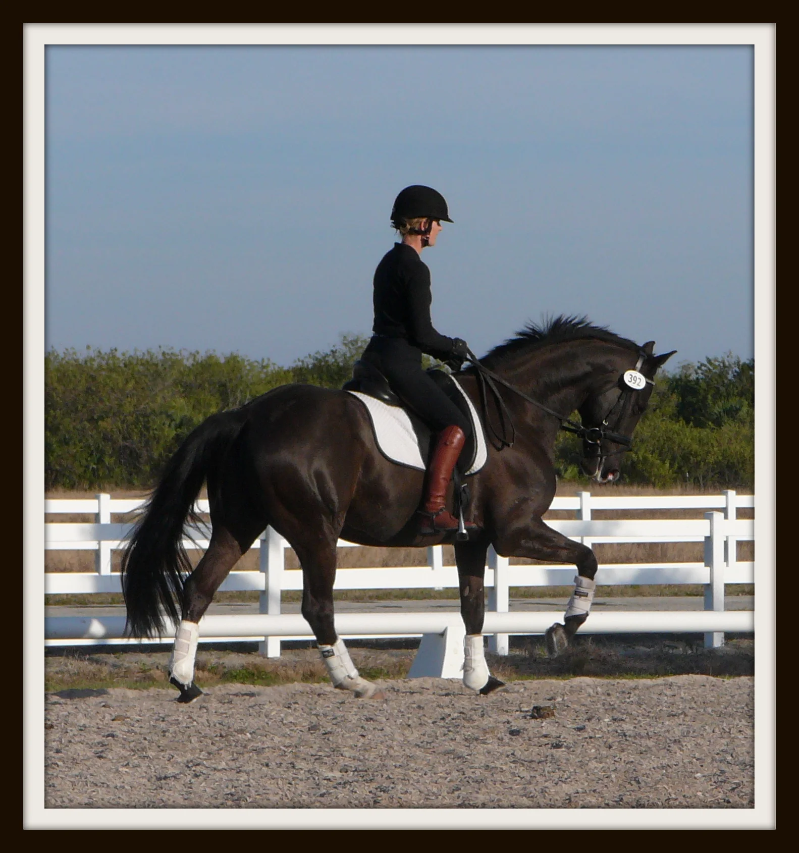 Wanted_canter.jpg